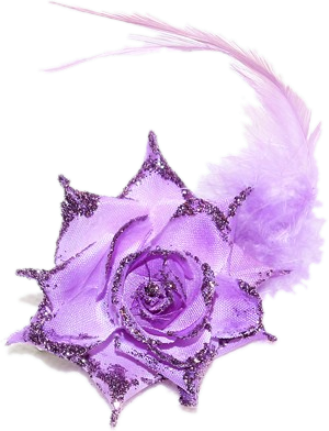 pincce-violette.png